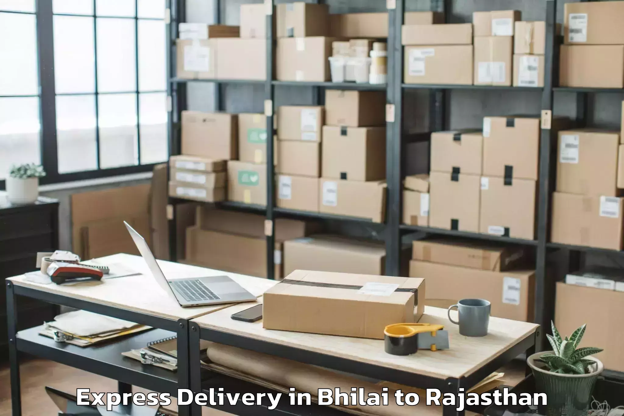 Comprehensive Bhilai to Rajasthan University Of Health Express Delivery